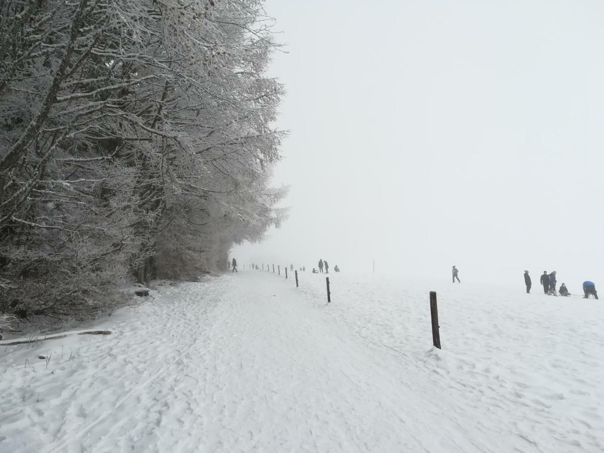 Apartment Schneeburg Ebringen Экстерьер фото