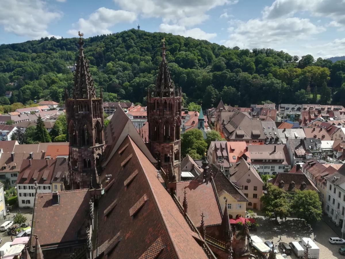 Apartment Schneeburg Ebringen Экстерьер фото